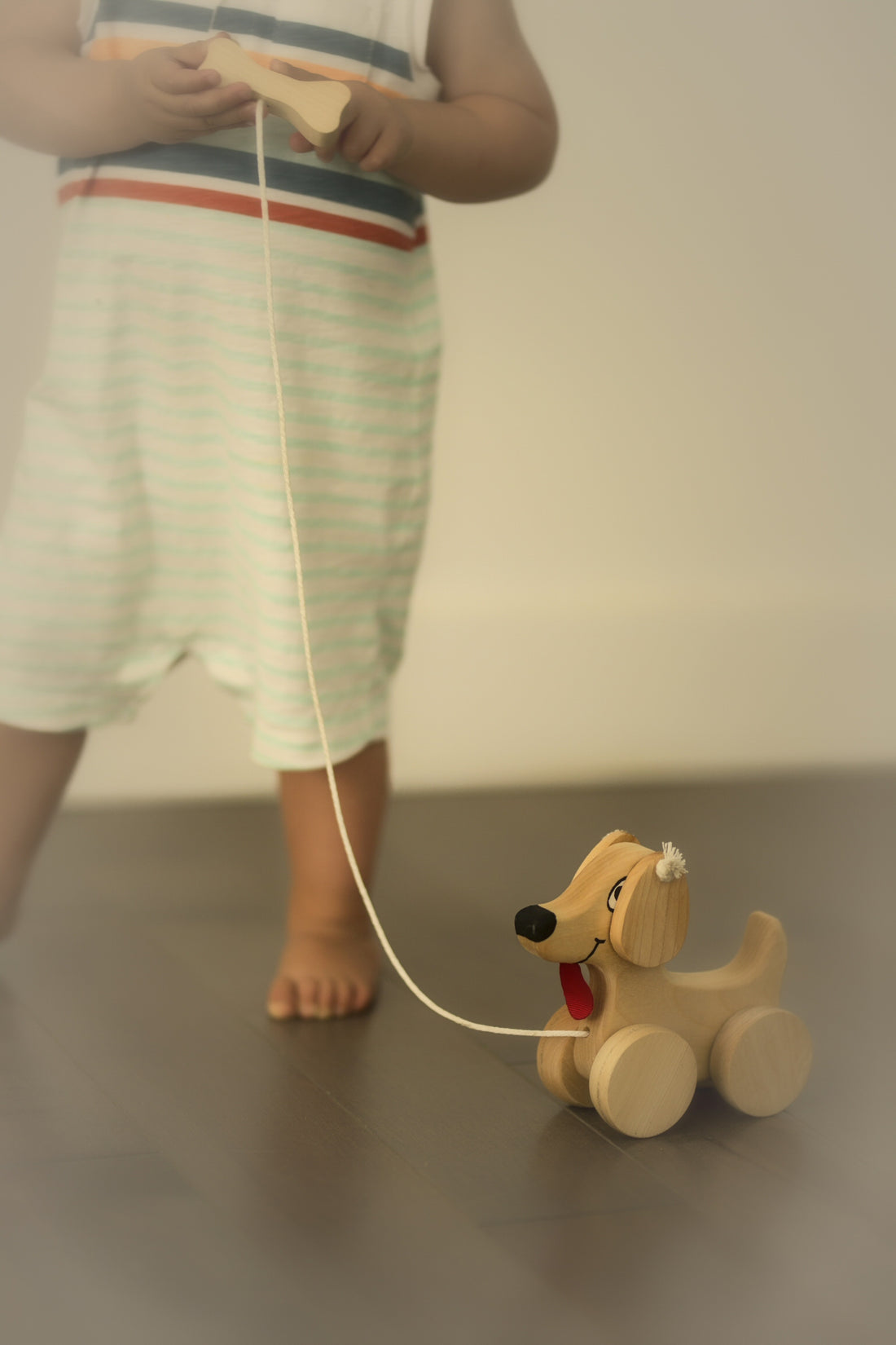 Crocolo dog to pull in wood