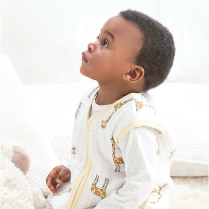 Aden & Anais Gigoteuse turbulette dormeuse sac couchage