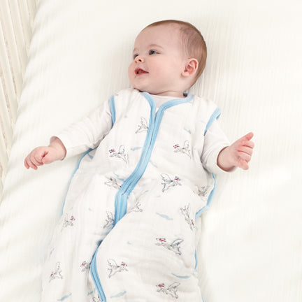 Aden&amp;amp;Anais sleeping bag sleeping bag