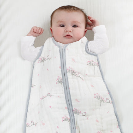 Aden & Anais Gigoteuse turbulette dormeuse sac couchage