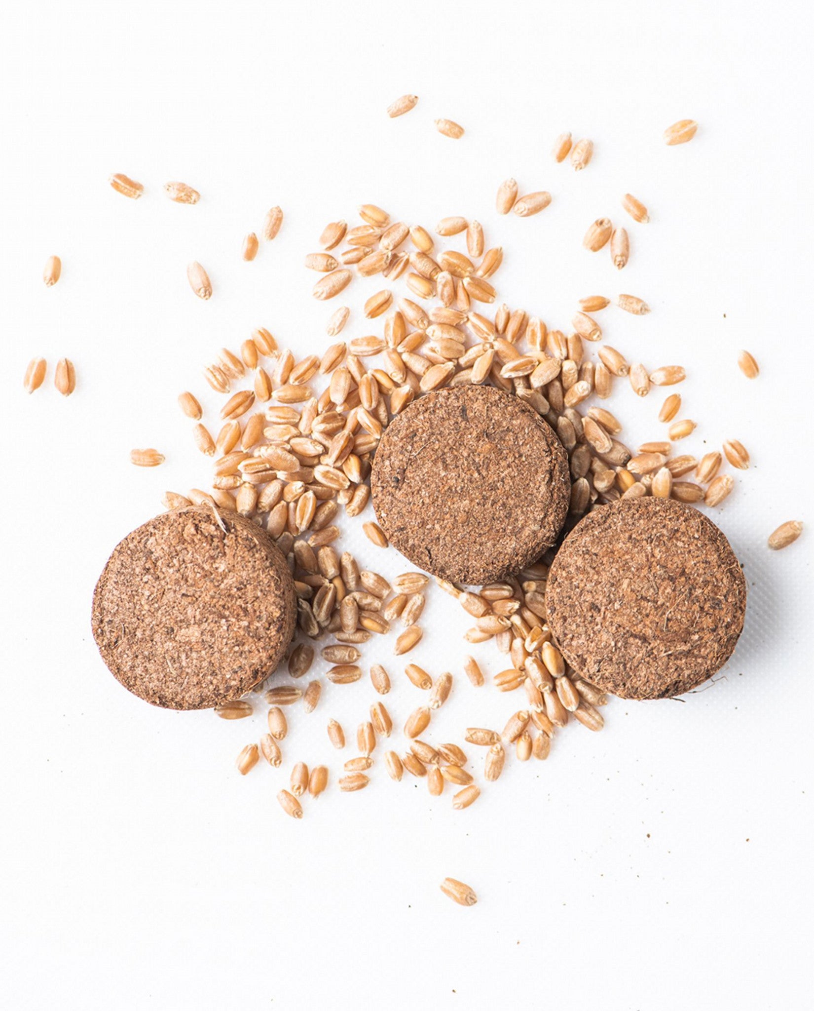Eco Kids Ensemble de colorants naturels pour oeufs de Pâques