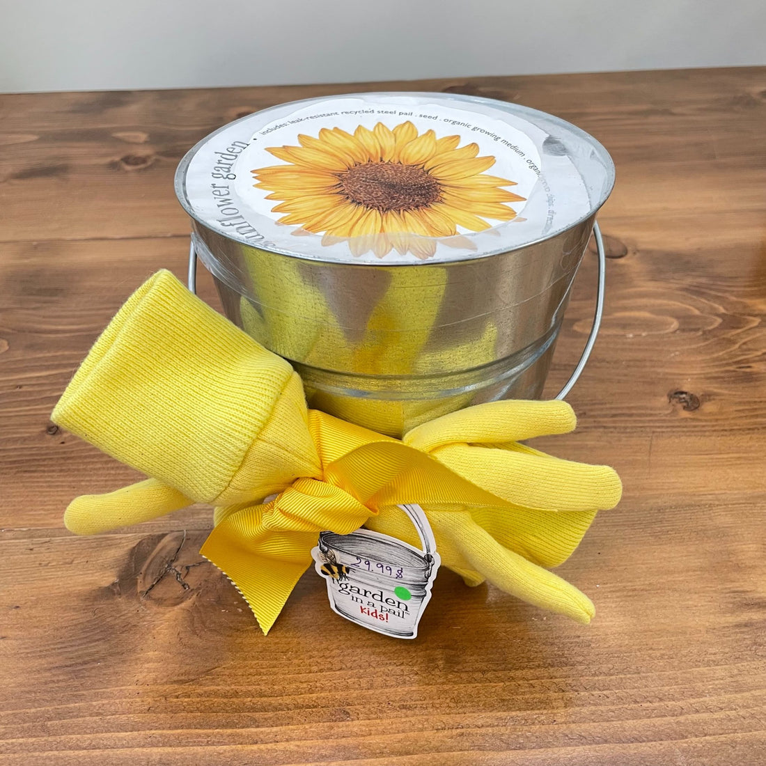 Potting-Shed Mini jardin: tournesol à faire pousser