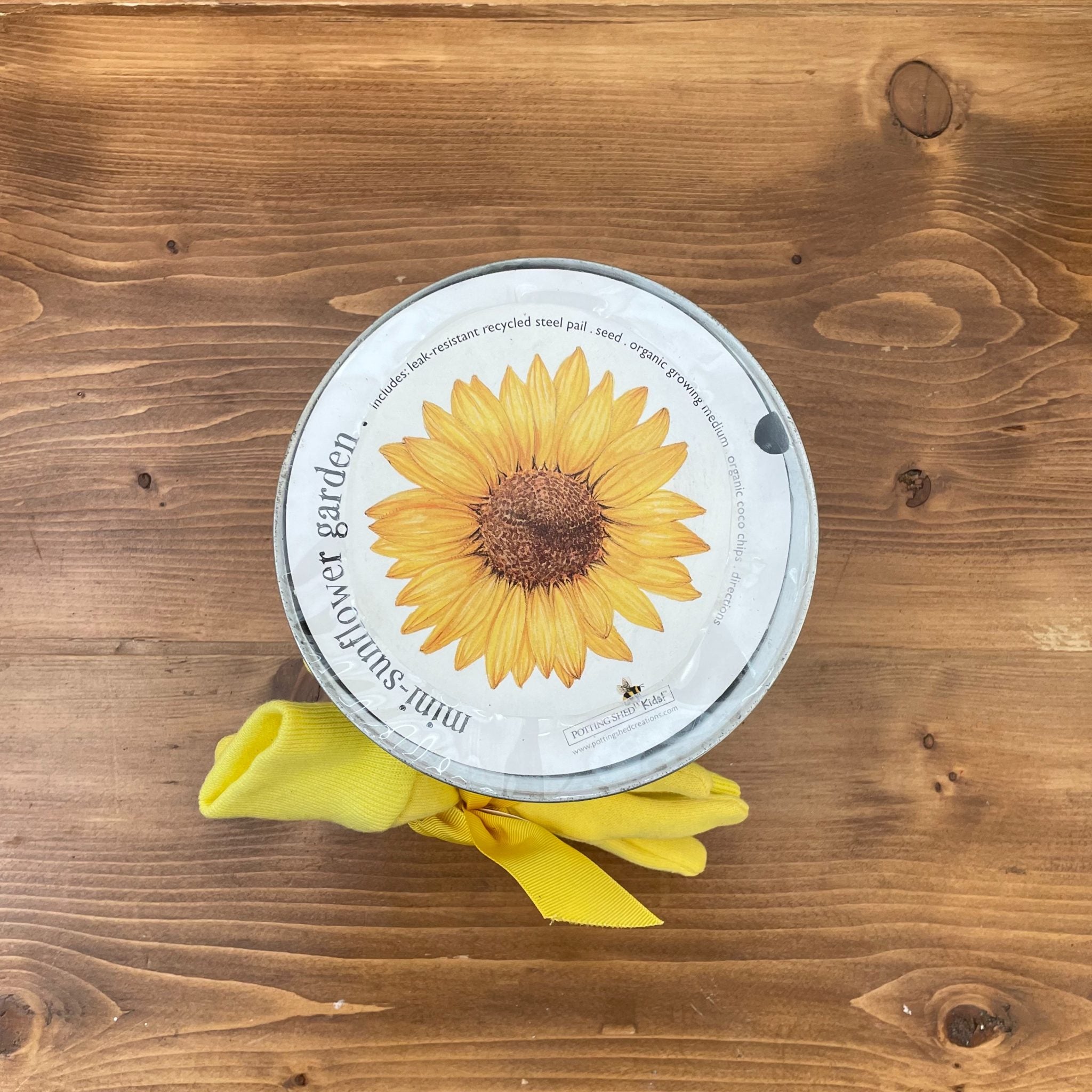 Potting-Shed Mini garden: sunflower to grow